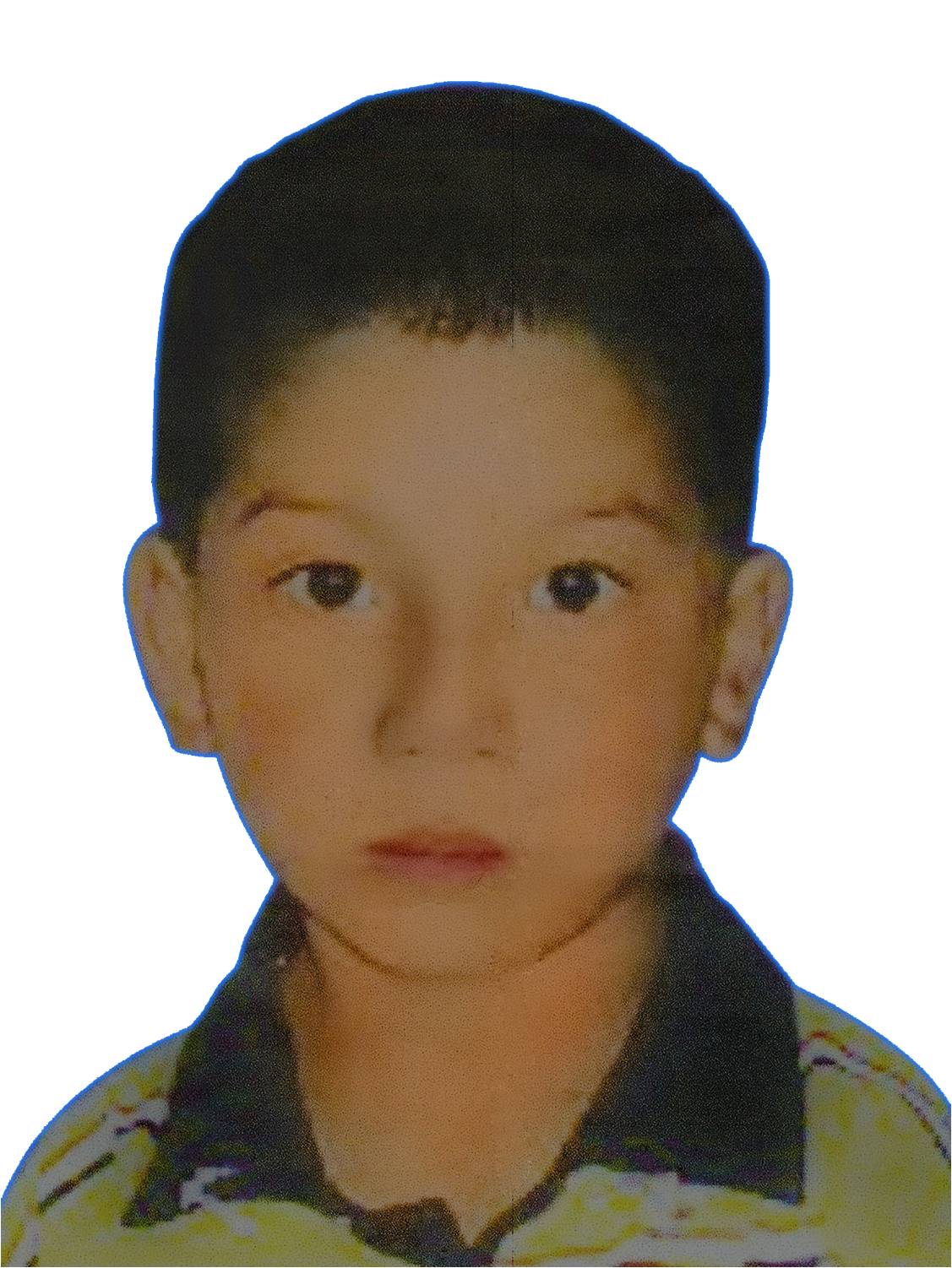 Luis Fernando Torres